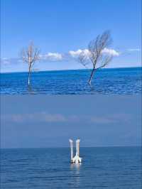 青海湖裡的西王母、真的太壯觀了！！