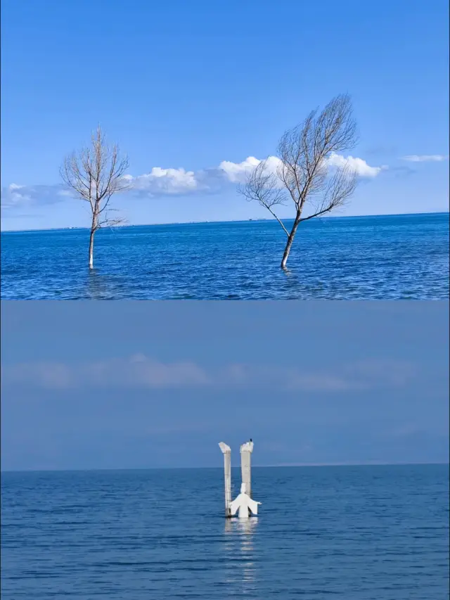 青海湖の西王母、本当に壮観だった！！