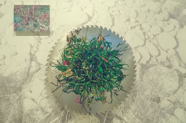 0元看展|提升審美就來川美