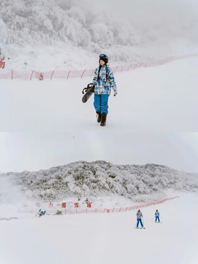 滑雪季 | 南方私藏的林海雪原被我找到了！
