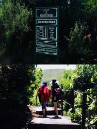 探索南非｜一定要探秘齊齊卡馬國家公園