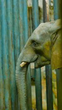 北京動物園