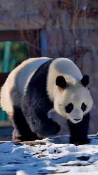 北京動物園