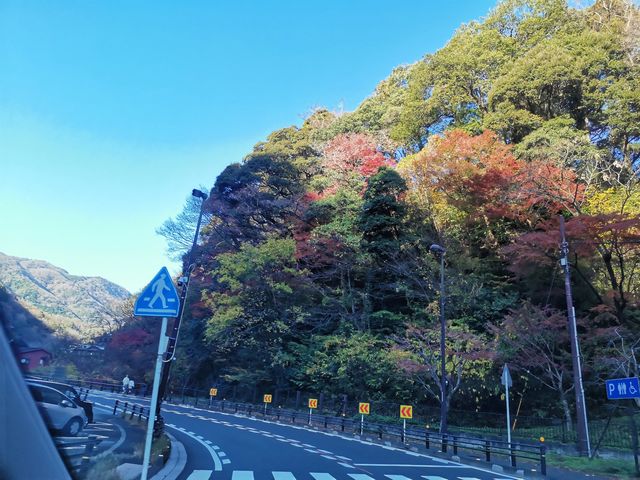 箱根雕塑博物館半日遊