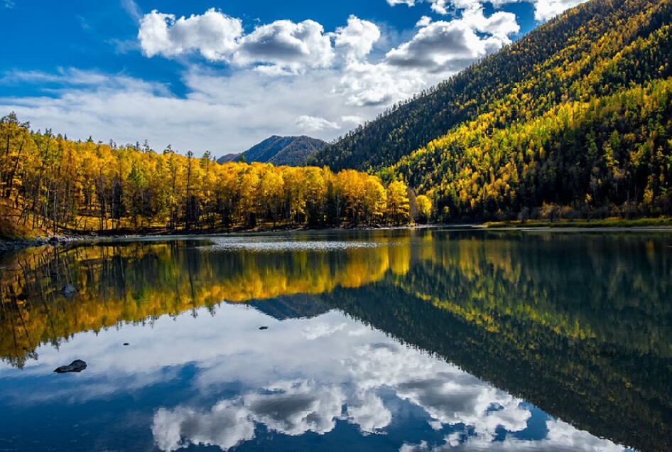 Things to Do in Kuytun in 2025 - Top Attractions, Local Food, Hotels ...