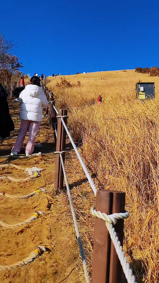 韓國濟州島｜晨星嶽 小火山