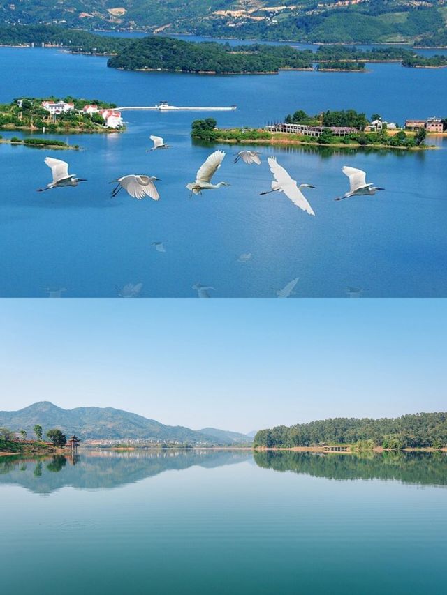 福州周邊遊｜翠屏湖環湖棧道
