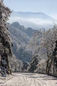 古人說“不識廬山真面目”，體會到了，廬山的雪景！絕美！