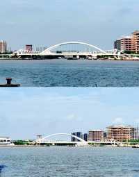 在西岸，看黃浦江兩岸現代新貌