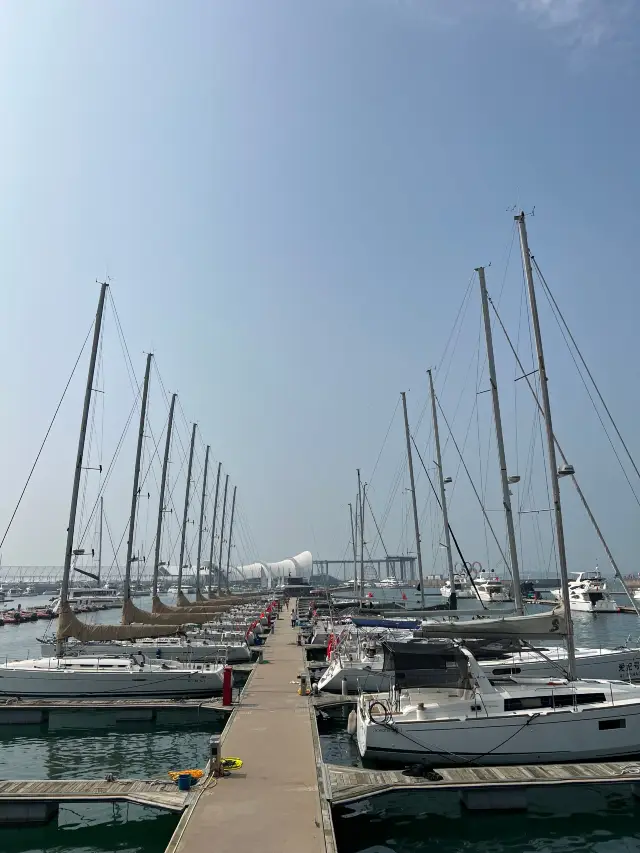 Yacht tour at Qingdao Olympic Sailing Center