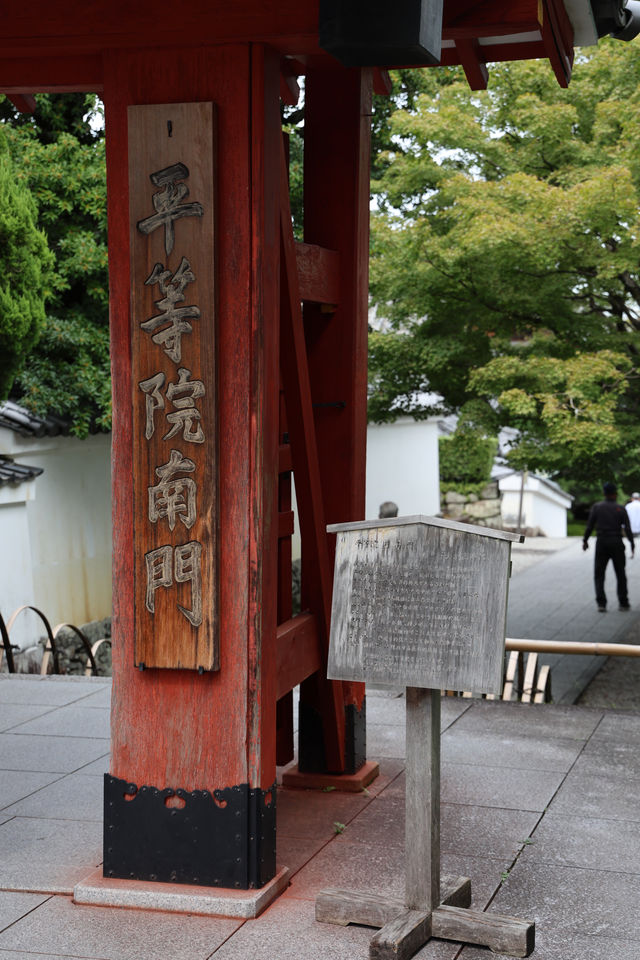 宇治平等院｜打卡日幣10元硬幣背面景點🪙全攻略