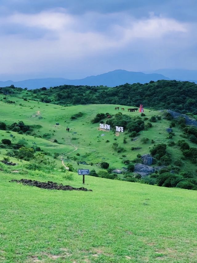 來大姆山來感受風對你的擁抱吧/大姆山