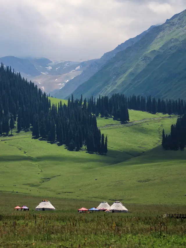 Xinjiang·Yili｜My Narati Prairie (Unmanned Pure Enjoyment Version)