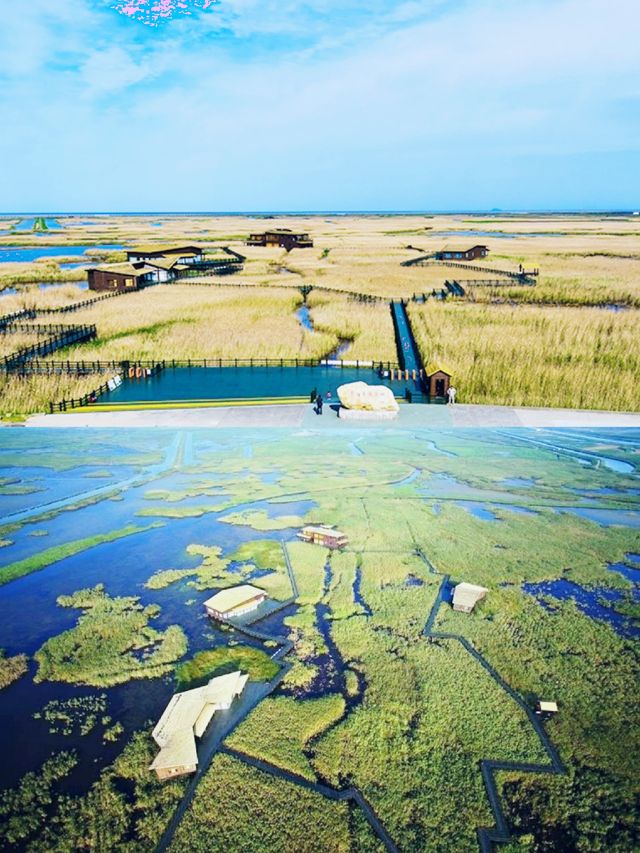 自然別墅時光度假·享受崇明島的寧靜·上海崇明島的後花園