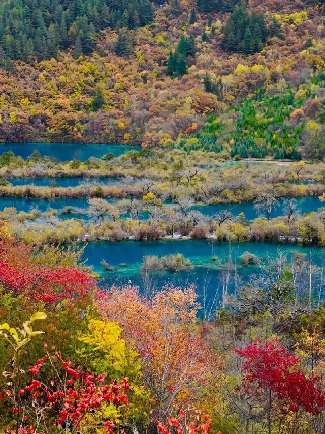 絕美秋景—九寨溝