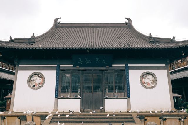 發現上海|真如寺真的好,就是鴿子shi太多咯 發現上海|真如寺真的好,就是鴿子shi太多咯