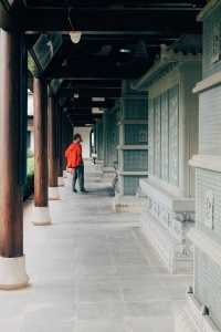 發現上海|真如寺真的好,就是鴿子shi太多咯