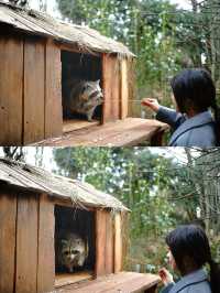 雲南野生動物園！超詳細攻略！