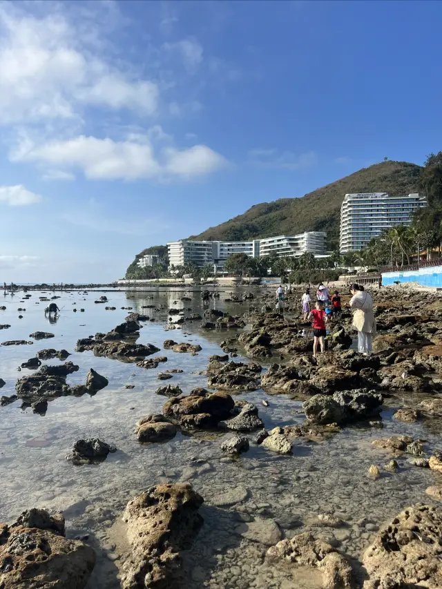 赶海