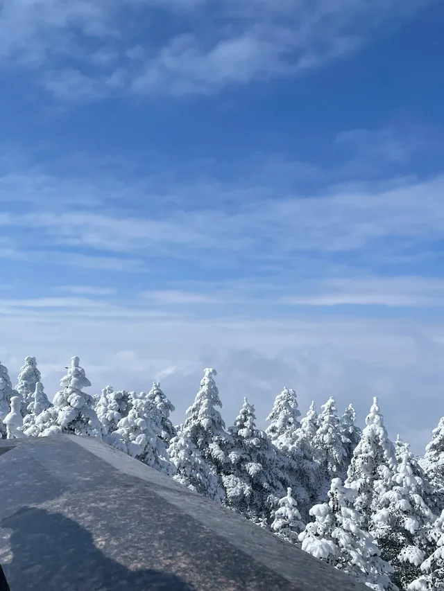 人生建議一定要在冬天去一次峨眉山