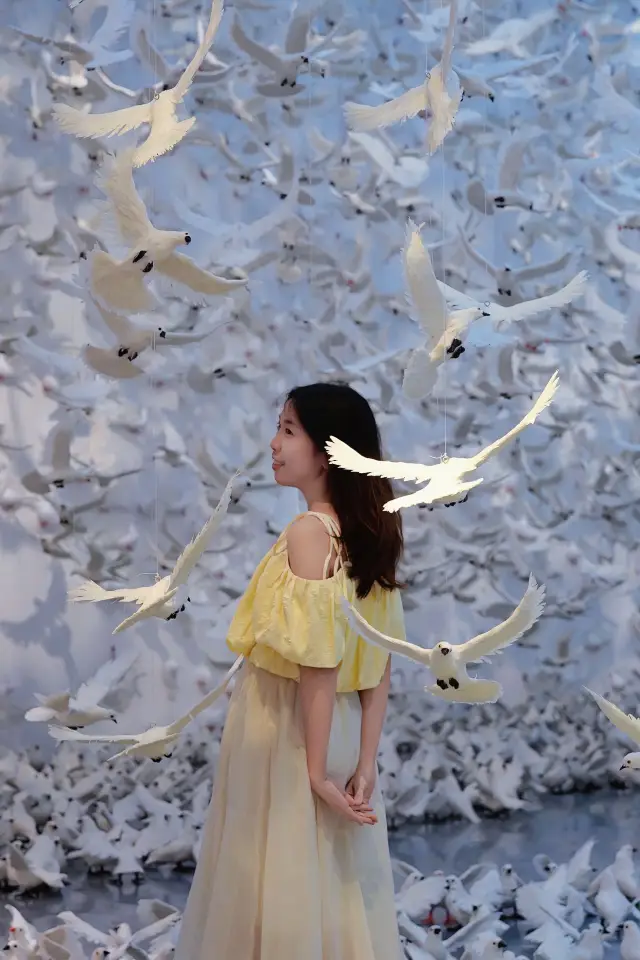 Come and take pictures with thousands of white pigeons