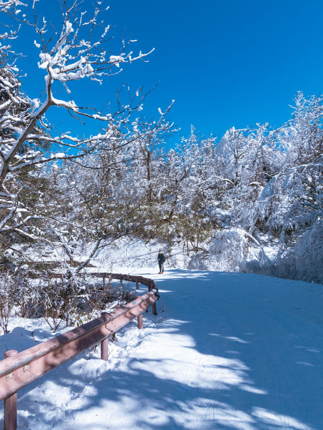 下雪了！這份成都周邊玩雪泡湯攻略請收好~