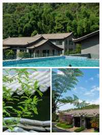 伴山之上，邂逅南甸