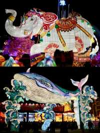 郑州龍年迎春｜來沉浸式逛燈展啦