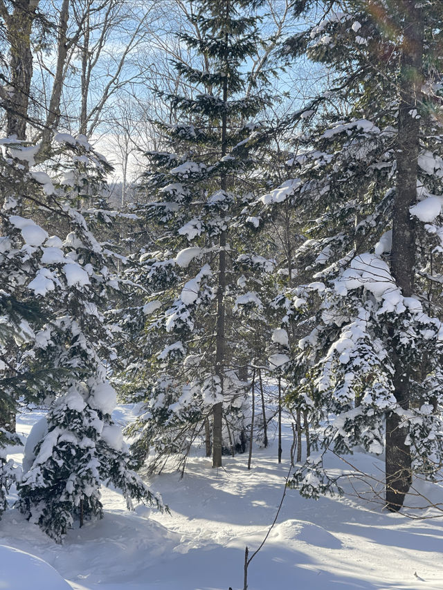 土味情話說給雪鄉聽