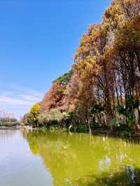 洪湖公園的 紅