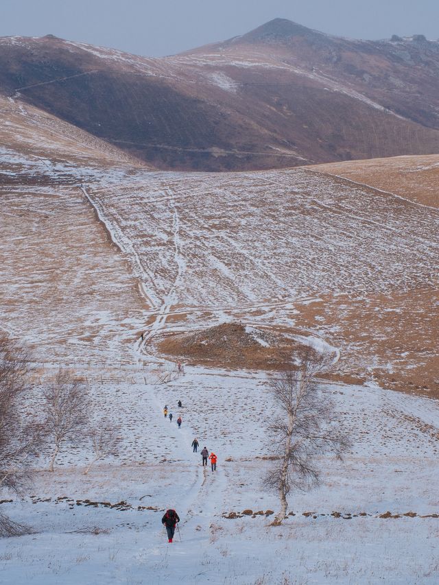 初春崇禮三樑｜又遇風雪交加的山野體驗