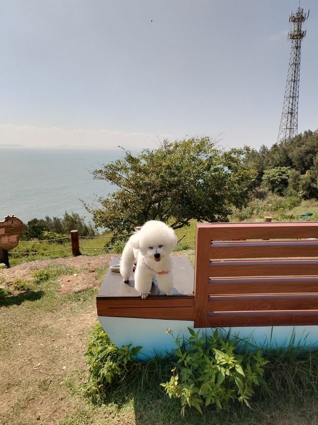 這真的不是在國外！！！是在福建！！！