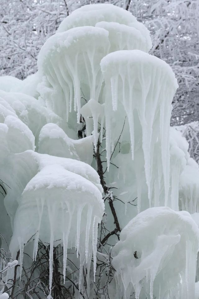 巴山湫池·冰雪大世界等你來遊玩嬉戲打卡