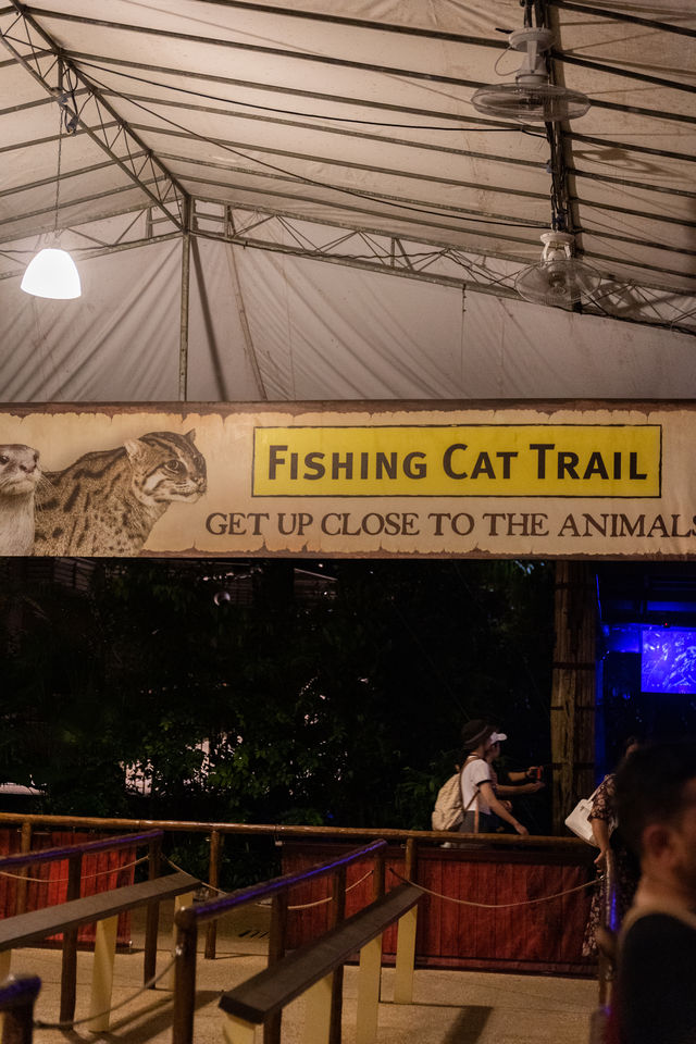 新加坡夜間動物園攻略，一定記得要徒步！