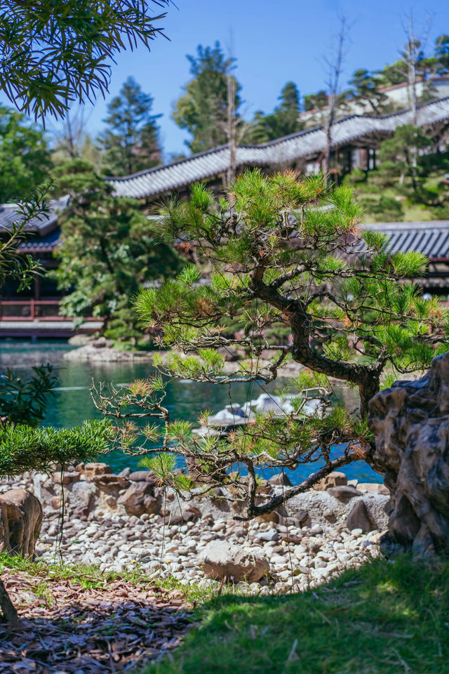 都說外地人愛去南華寺，本地人愛去雲門寺