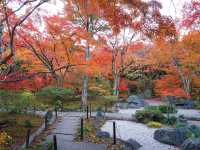 打卡京都寶筐院