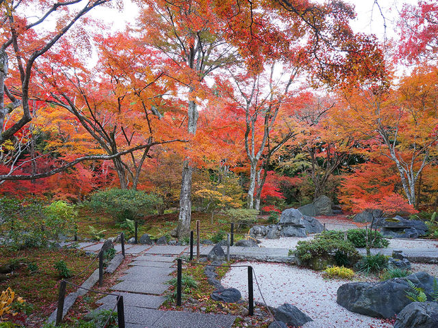 打卡京都寶筐院