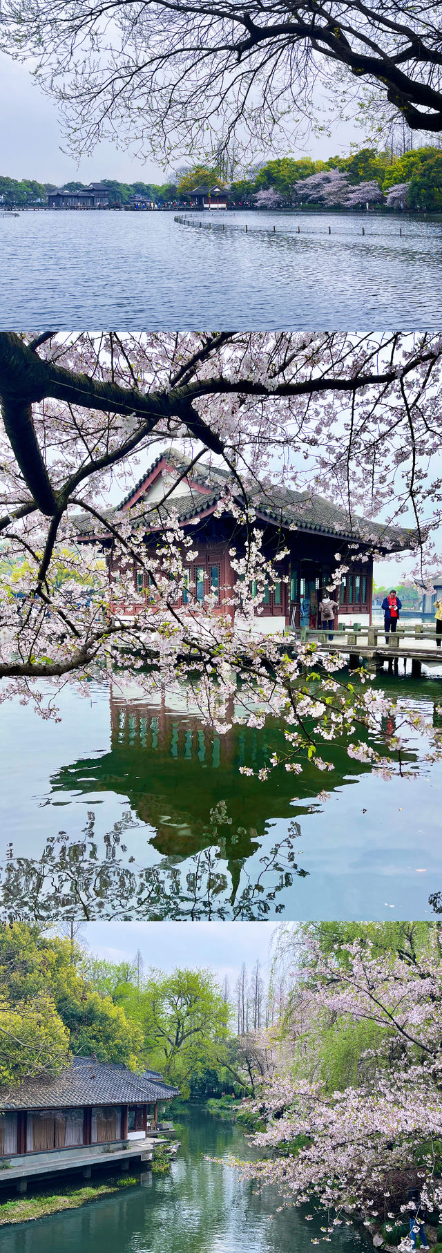 杭州，來了四次都沒玩夠的城市