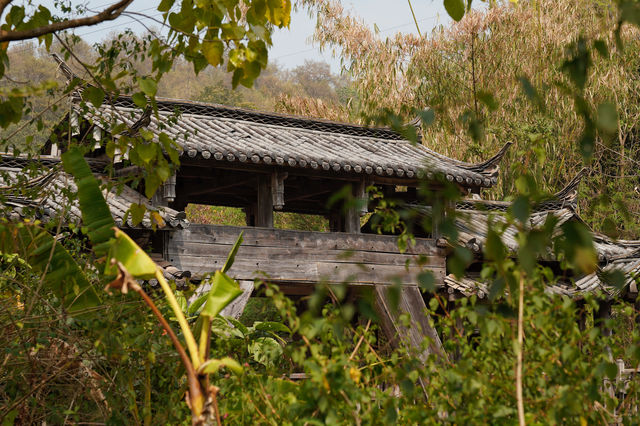 自駕茶馬古道上的那柯里