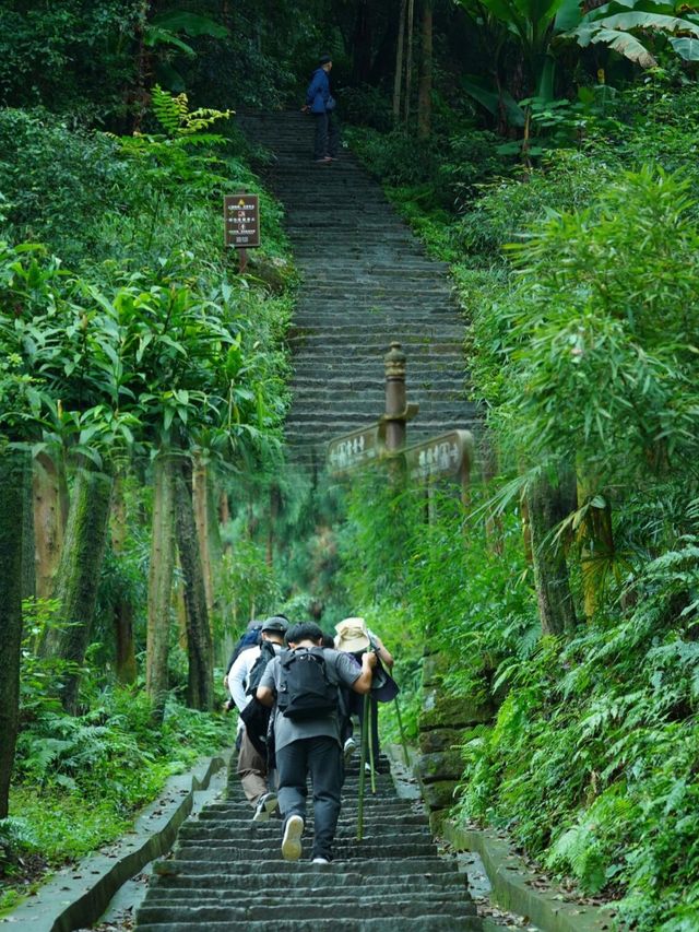 收藏峨眉山攻略，超詳細路線次看懂