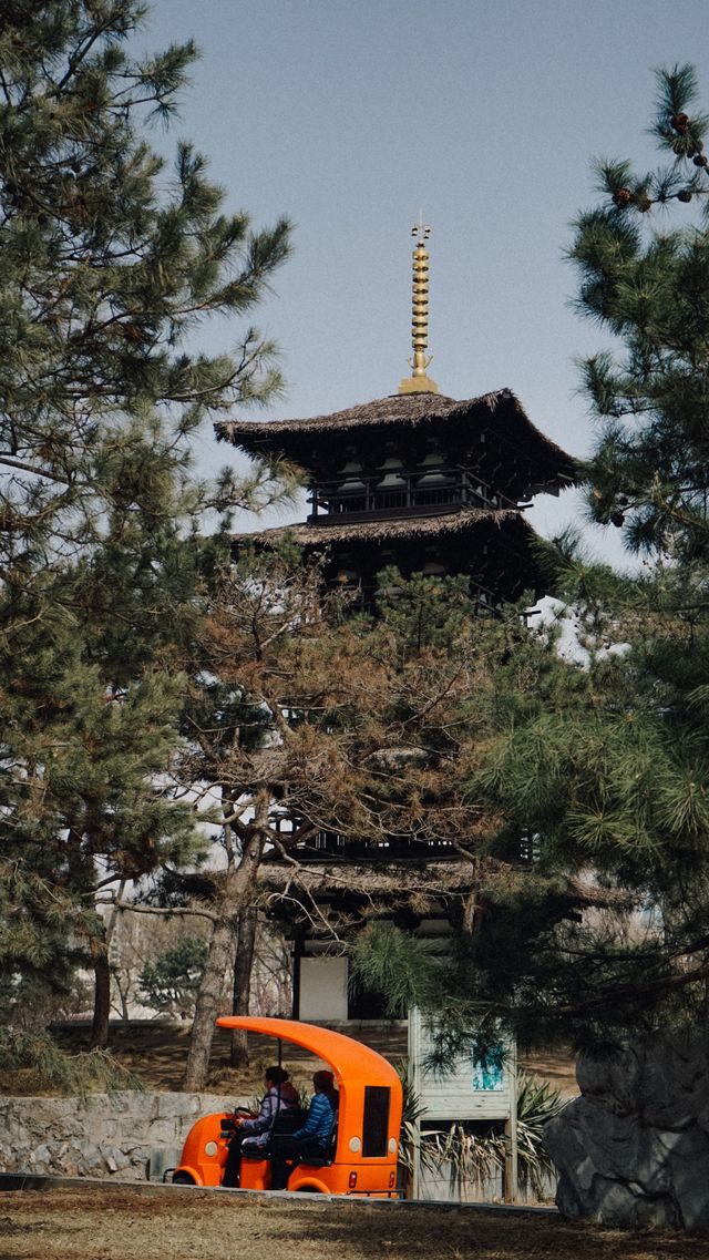 將世界裝進孩子快樂的童年｜北京世界公園