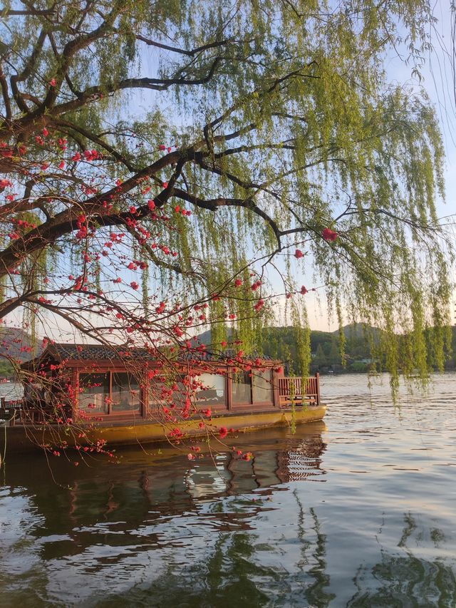 西湖美景，三月天，春雨如酒柳如煙