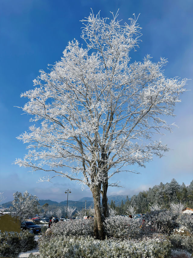 踏雪九仙山｜福建德化兩天一夜自駕遊