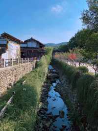 寶華山森林公園千華古村｜一個藏在森林裡的古鎮