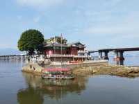 福州沙灘公園賞花行