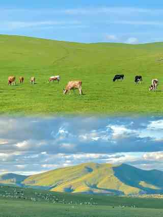 2026 紅原—若爾蓋大草原詳細攻略推薦| 3月| Trip Moments