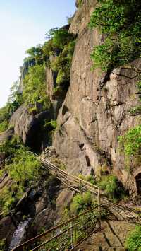 園山景區｜妙覺寺塔林鵝公髻