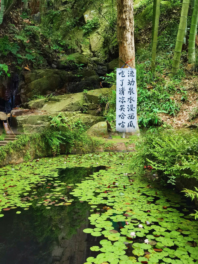 不用爬山，莫干山避暑玩水看這篇就夠了