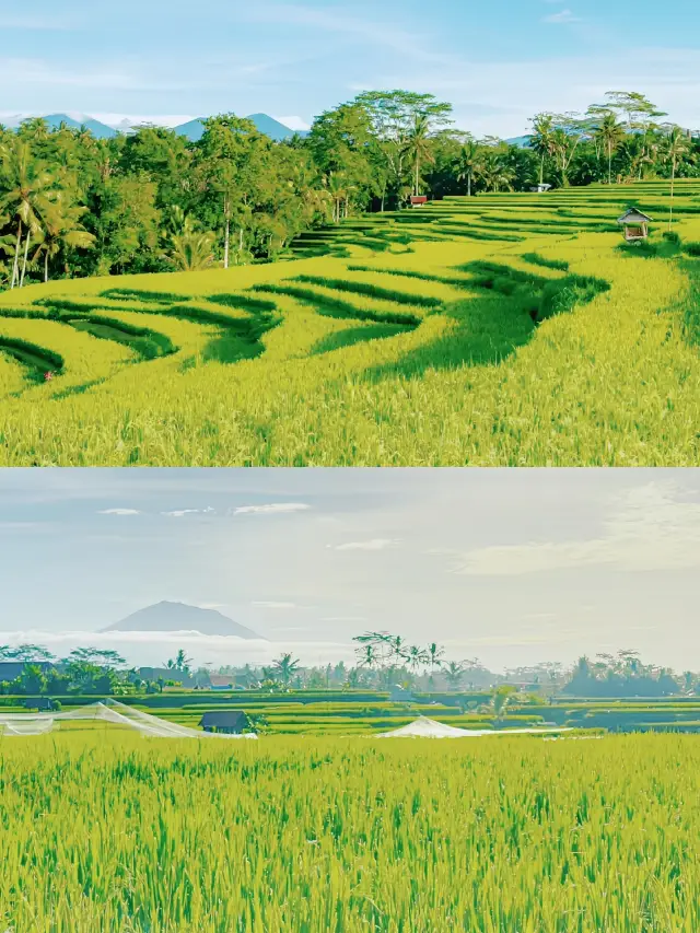 This must be the most detailed guide to attractions in Bali