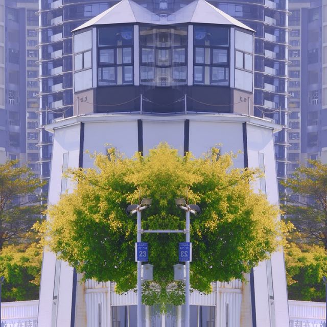 深圳海景公園 |燈塔圖書館|見山見海見自己